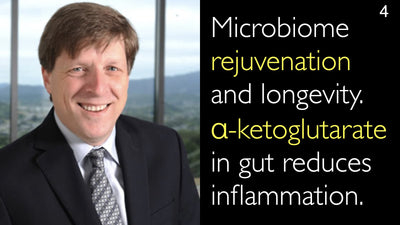 Microbiome rejuvenation and longevity. Alpha-ketoglutarate in gut reduces inflammation. 4