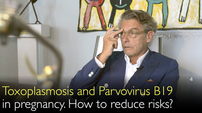 Toxoplasmosis and Parvovirus B19  in pregnancy. How to reduce risks? 4