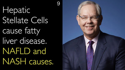 Hepatic Stellate Cells cause fatty liver disease. NAFLD and NASH causes. 9