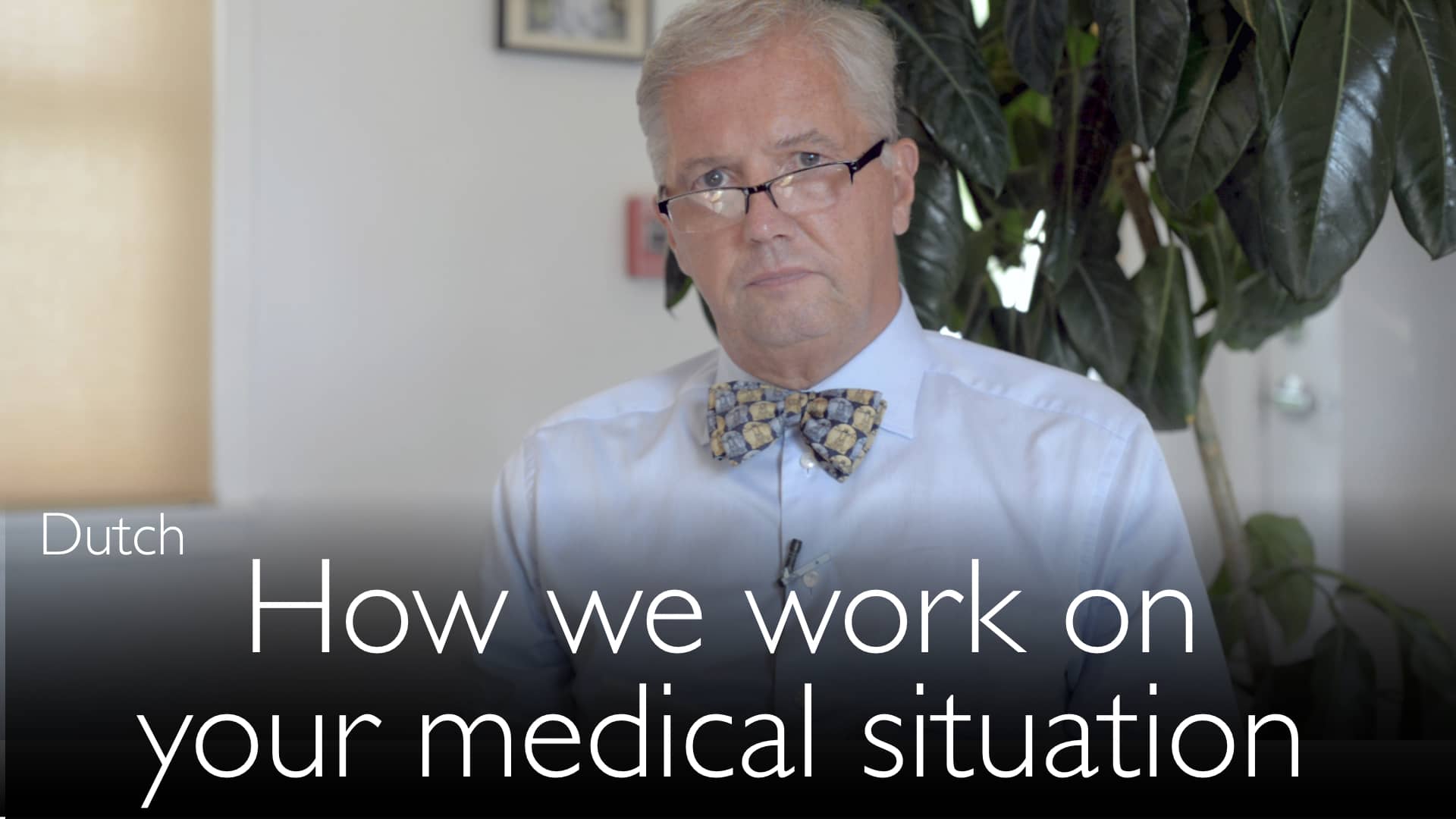 Dutch. How we work on your medical situation. – DiagnosticDetectives.Com